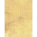 Канва Аида 18 с фоновым рисунком КД-149 21х30см “МП Студия”