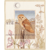 Набор для вышивания “Barn owl” “Derwentwater Designs” (Великобриатния)