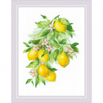 Набор для вышивания "Яркие лимоны" "Риолис"