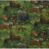 Ткань для пэчворк (60x110см) 13624-270 из коллекции "Nature studies" "Robert Kaufman"(США)