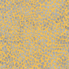 Ткань для пэчворк (50x55см) 18657-12 из коллекции "Gustav Klimt" "Robert Kaufman"(США)