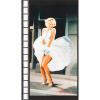 Ткань для пэчворк (60x110см) 17196-121 из коллекции "Marilyn Monroe" "Robert Kaufman"(США)