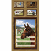 Ткань для пэчворк (60x110см) 25321MUL из коллекции "World of Horses" "SPX Fabrics" (США)