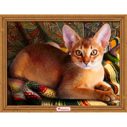 Набор для картины стразами "Абиссинский кот" "Алмазная живопись"