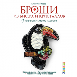 Книга “Броши из бисера и кристаллов”